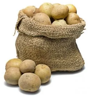 Кращі голландські сорти картоплі (сорти) Кращі голландські сорти картоплі