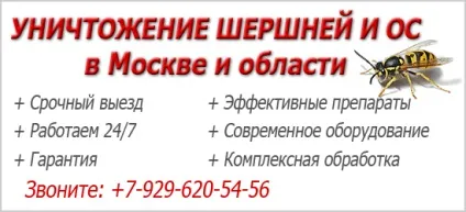 Пастка для шершнів і ос 1 (кожному конкретному випадку) Пастка для шершнів і ос 1