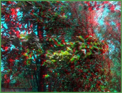 Кращі стерео-фото пейзажі (стерео-картинки анаглиф) Кращі стерео-фото пейзажі