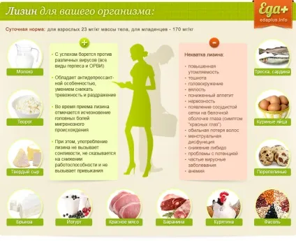 Лізин продукти багаті на лізин (лізин) Лізин продукти багаті на лізин