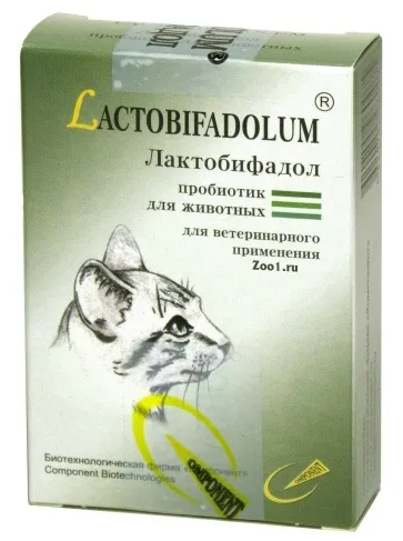 Makadami - розплідник мейн-кунів, коли у кішки діарея (пронос) Makadami - розплідник мейн-кунів, коли у кішки діарея