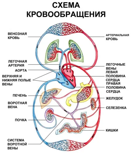 Магнітотрони Патрасенко в