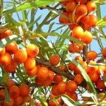 Корисні ванни для тіла - краса і здоров'я жінки (ванні протягом хвилин) Корисні ванни для тіла - краса і здоров'я жінки