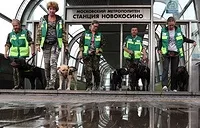 Поїзд з фрагментами зображень картин російського живопису запустили в метро Москви - Київ (живопису) Поїзд з фрагментами зображень картин російського живопису запустили в метро Москви - Київ