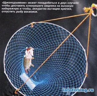 За Пітеру зі спінінгом