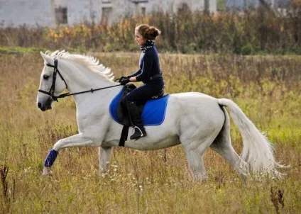 Користь, шкода і протипоказання верхової їзди (користь) Користь, шкода і протипоказання верхової їзди