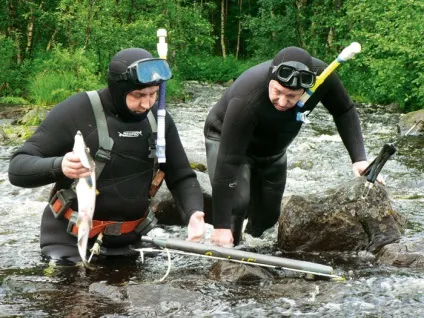 Підводне полювання - перше занурення під воду куди пірнути (підводне полювання на малих і середніх річках) Підводне полювання - перше занурення під воду куди пірнути