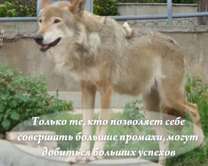 Поміняти шаблон wordpress