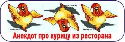 Як правильно доглядати за богомолами в домашніх умовах (залицяння) Як правильно доглядати за богомолами в домашніх умовах