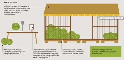 Як правильно вибрати кавун, продукти харчування! (Правильно) Як правильно вибрати кавун, продукти харчування!