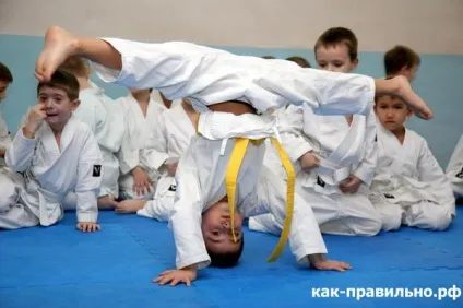 Як правильно вибрати в якій гурток віддати дитину (дитини) Як правильно вибрати в якій гурток віддати дитину