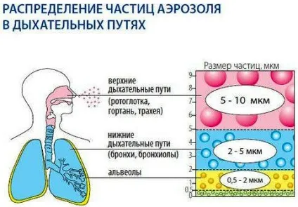 Як правильно вибрати інгалятор для дорослих і дітей