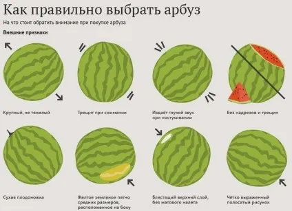 Як правильно вибрати кавун, продукти харчування! (Потрібно звернути увагу) Як правильно вибрати кавун, продукти харчування!