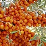 Маски для волосся, секрети будинкового (маски для волосся) Маски для волосся, секрети будинкового