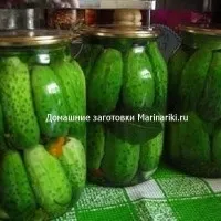 Мариновані зелені помідори з цибулею (цибулею) Мариновані зелені помідори з цибулею
