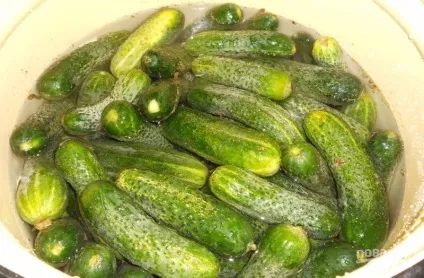 Мариновані солоні огірки - покроковий рецепт з фото на (кухарі) Мариновані солоні огірки - покроковий рецепт з фото на