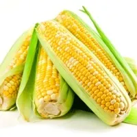 Медичний продукт