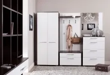 Меблі для передпокою фото коридору, гарні предмети і індивідуальний вибір, як самому зручно, (фото) Меблі для передпокою фото коридору, гарні предмети і індивідуальний вибір, як самому зручно,