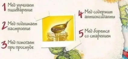 Мед при гастриті можна або не можна (не можна) Мед при гастриті можна або не можна