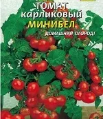 Дрібноплідні сорти томатів, приватний будинок (томатів) Дрібноплідні сорти томатів, приватний будинок