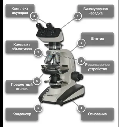 Мікроскоп фотоапарат