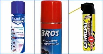 Дрібні мурашки в квартирі як можна позбутися і профілактика (квартирі) Дрібні мурашки в квартирі як можна позбутися і профілактика