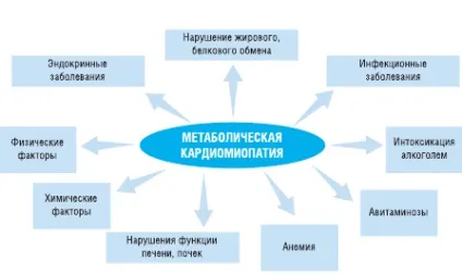 Метаболічна кардіоміопатія визначення метаболічна кардіоміопатія (раніше її визначали як (метаболічної кардіоміопатії можуть) Метаболічна кардіоміопатія визначення метаболічна кардіоміопатія (раніше її визначали як