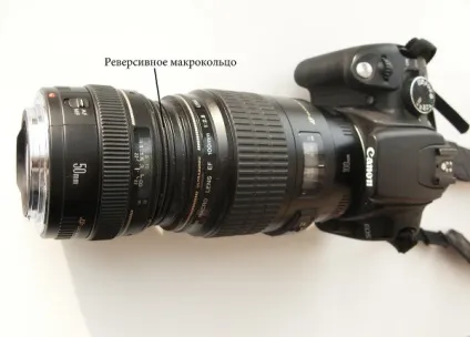 Мікроскоп з фотоапарата ( «рідними» вашого фотоапарата) Мікроскоп з фотоапарата