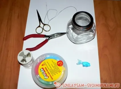 Міні-акваріум, майстер-клас своїми руками (майстер-клас) Міні-акваріум, майстер-клас своїми руками
