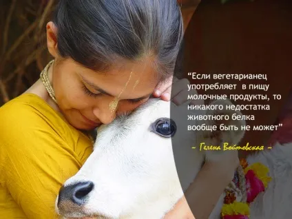 Міфи і вегетаріанство білки, гемоглобін, залізо, веданта йога - добірка матеріалів про духовний шлях