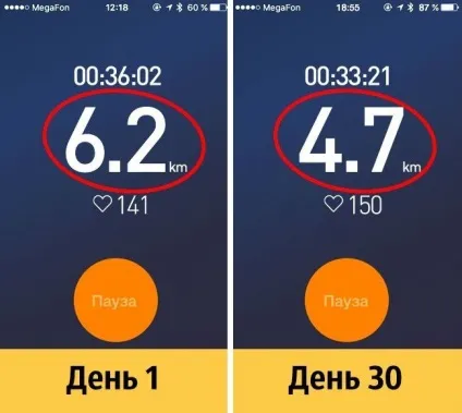 Ми перевірили що буде, якщо часто пити пиво (експеримент з пивом) Ми перевірили що буде, якщо часто пити пиво