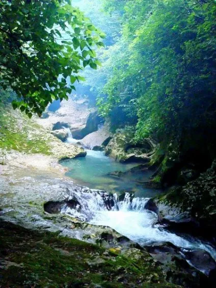 Мінеральні води