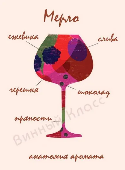 Мерло (merlot)