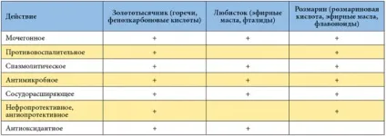 Сечогінний Канефрон таблетки, краплі, механізм дії (Канефрон) Сечогінний Канефрон таблетки, краплі, механізм дії