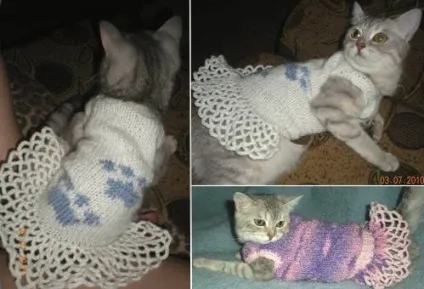 Модний вихованець або потрібна кішці одежинка!