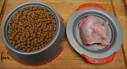 Чи можна давати сиру курку і курячі кістки котам, кіт і кішка (курячі) Чи можна давати сиру курку і курячі кістки котам, кіт і кішка