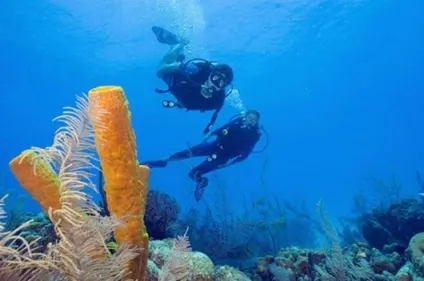 Молочні моря, помилкове дно і інші таємниці океану (моря) Молочні моря, помилкове дно і інші таємниці океану
