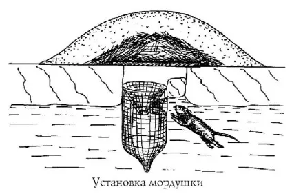 Мордушкі для лову риби як ставити мордушка або харя по іншому (ставити) Мордушкі для лову риби як ставити мордушка або харя по іншому