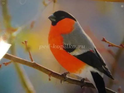Монотипія для початкової школи (якому дереві сидить птах) Монотипія для початкової школи