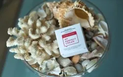 My perfect cream наука на службі краси - тест-драйв (красноярськ) My perfect cream наука на службі краси - тест-драйв