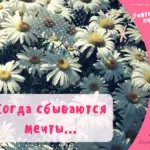 Напрямок часткової нитки в тканині (тканини) Напрямок часткової нитки в тканині