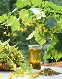 Народні засоби для лікування імпотенції, чи можуть допомогти знайти силу, народні методи від (народні засоби від імпотенції) Народні засоби для лікування імпотенції, чи можуть допомогти знайти силу, народні методи від