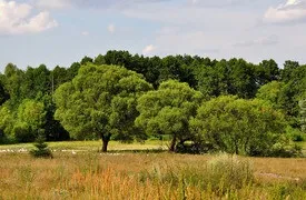 Національний парк «орловське полісся», Прилуки