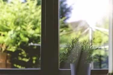 На совість і з душею »