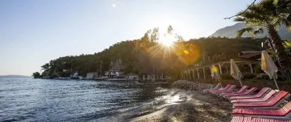 Наш перший рада куди краще поїхати відпочивати в грудні (в грудні пляжний відпочинок де краще гоа відпустку відпочивати замовлення туру грудня фото відео хвилі ласкаве море бронювати тур пляжі аравійське море дивитися video індію) Наш перший рада куди краще поїхати відпочивати в грудні