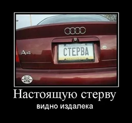 Справжня стерво що повинна вміти (правила стерви) Справжня стерво що повинна вміти