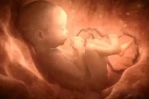Брак кисню у плода при вагітності ознаки і лікування (нестача) Брак кисню у плода при вагітності ознаки і лікування