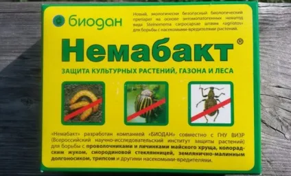 Немабакт інструкція із застосування хижої нематоди (препарат немабакт інструкція) Немабакт інструкція із застосування хижої нематоди