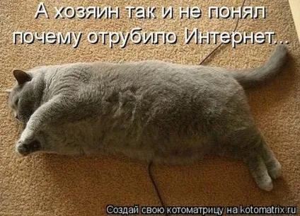 Ні дня без посмішки