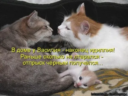 Ні дня без посмішки